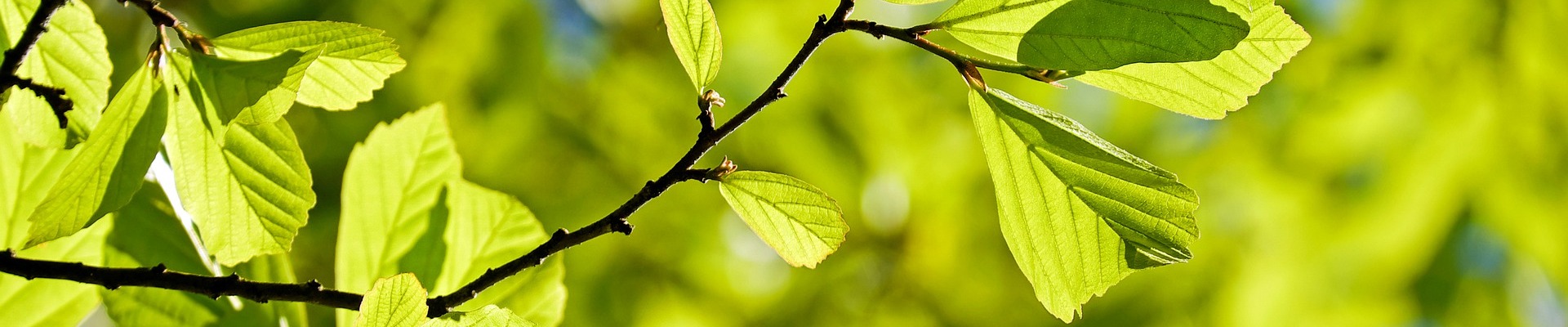 Retrouver Sa vraie Nature par une alimentation adaptée